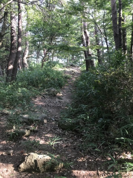 e0024081_11272428.jpeg