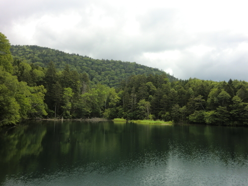 e0027681_16584581.jpg