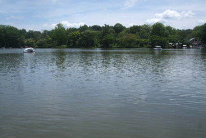 f0039281_18244109.jpg