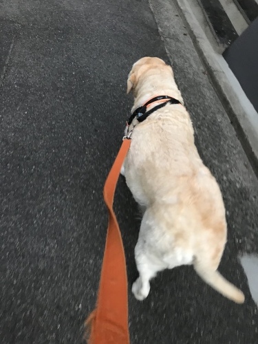 f0315081_23454537.jpeg