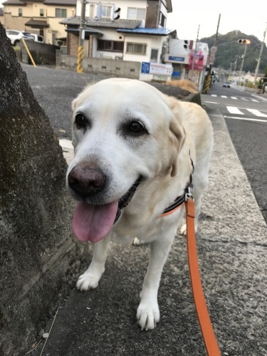 f0315081_23462626.jpeg