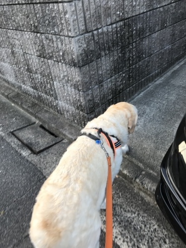 f0315081_23484097.jpeg