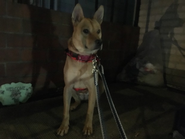 b0377882_23145938.jpeg