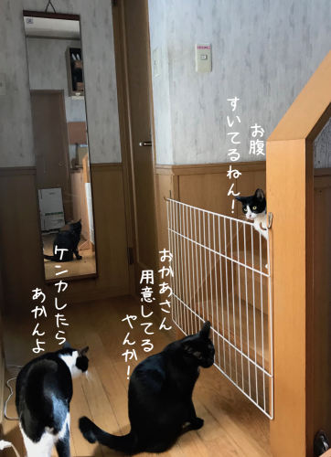 a0216583_15255421.png