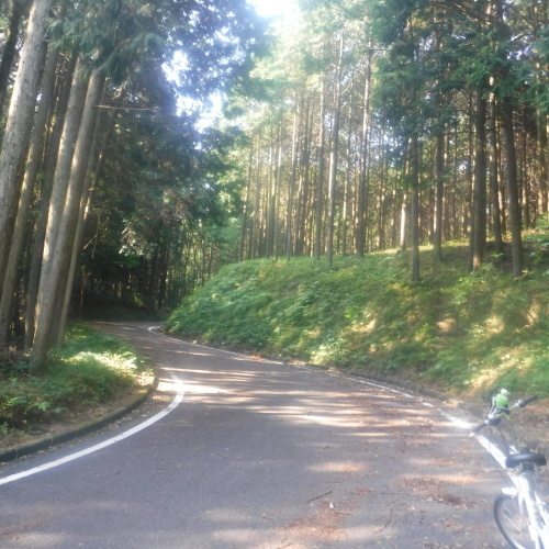 d0195183_01351077.jpeg