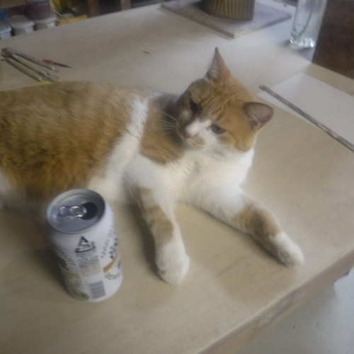 d0195183_01353732.jpeg