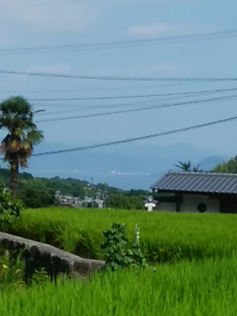 f0237788_09023329.jpg