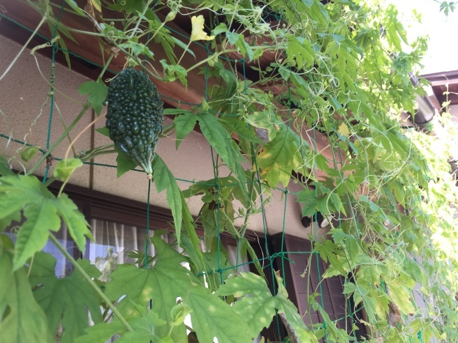 d0162995_22491492.jpeg