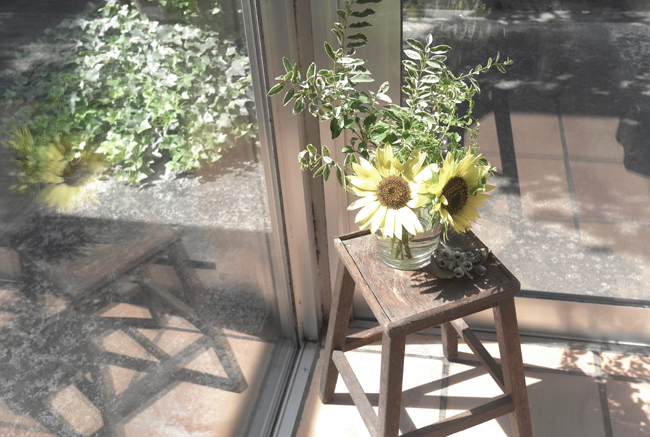 ◆◇◆夏休みのお知らせ◆◇◆_d0170799_14261760.jpg