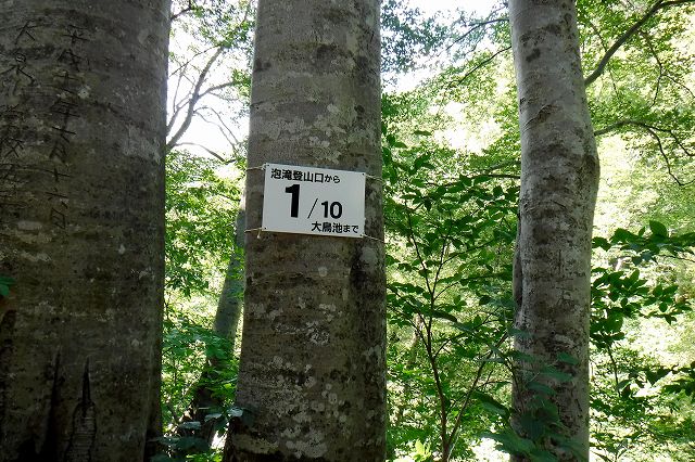 e0137200_20234488.jpg