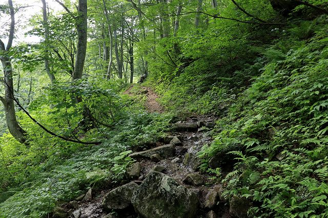 e0137200_20243879.jpg
