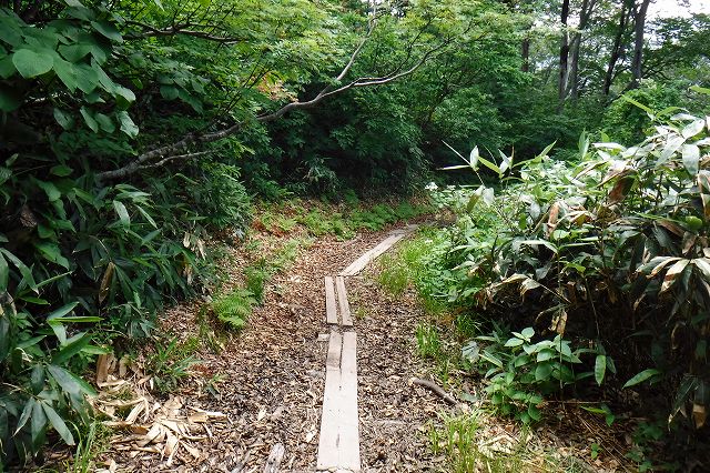 e0137200_2028467.jpg