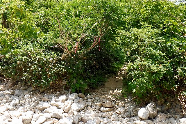 e0137200_20301643.jpg