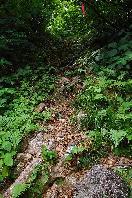 e0137200_20302765.jpg