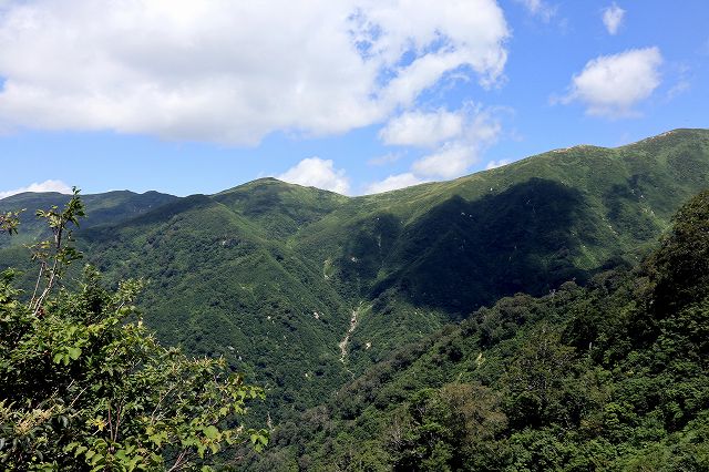 e0137200_2030561.jpg