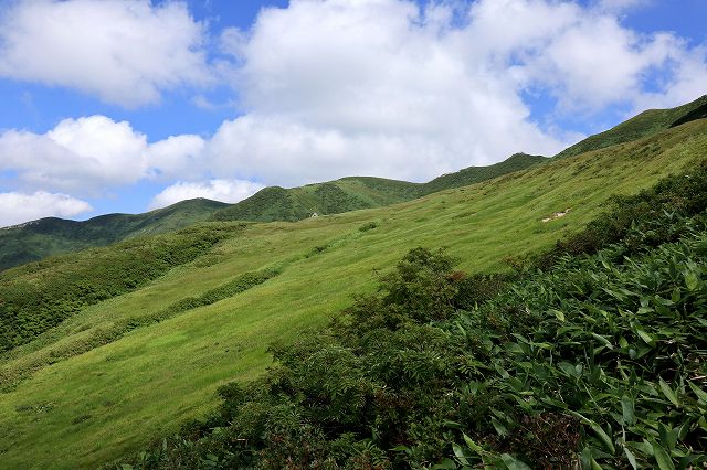 e0137200_2032427.jpg