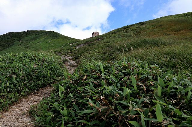 e0137200_20325813.jpg