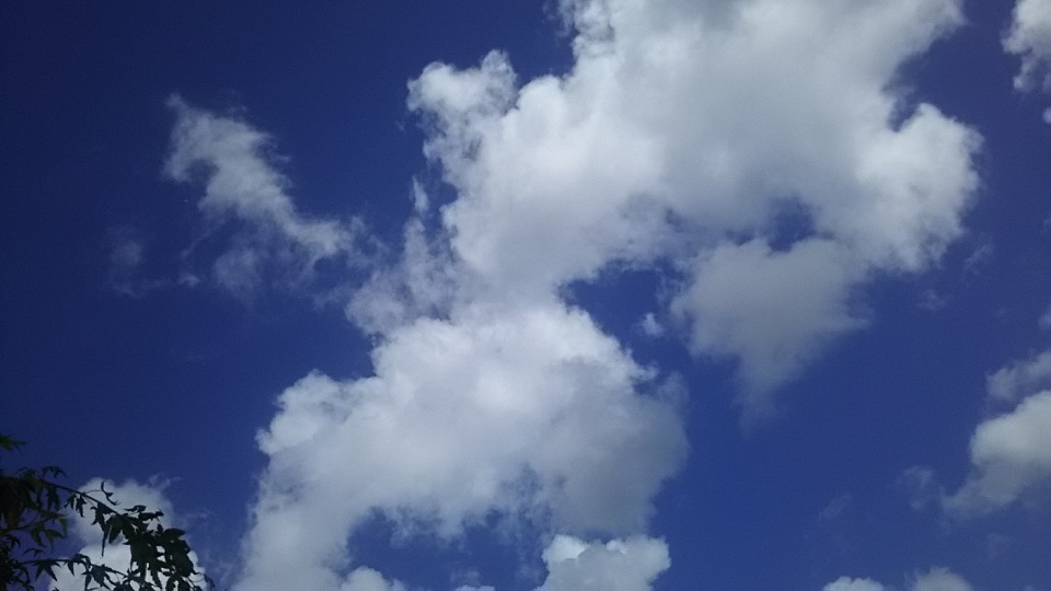 f0242002_10020384.jpg