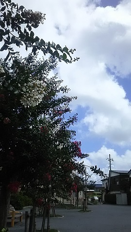 f0242002_10021446.jpg