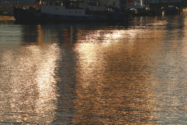 a0251508_2330998.jpg