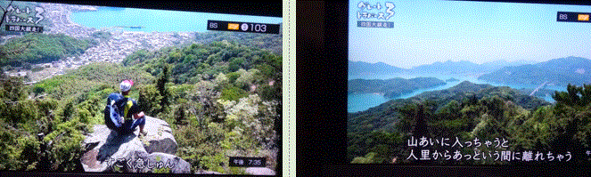 f0231709_00403509.gif