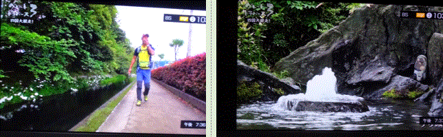 f0231709_00405665.gif