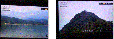 f0231709_01382219.gif