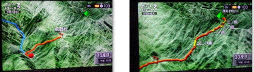 f0231709_02543429.gif