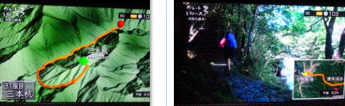 f0231709_03154079.gif