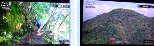 f0231709_03182147.gif