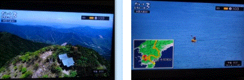 f0231709_03210558.gif