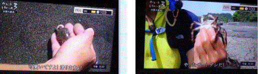 f0231709_03323457.gif