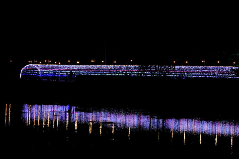 a0278716_10313792.jpg