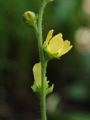 f0193521_18294731.jpg