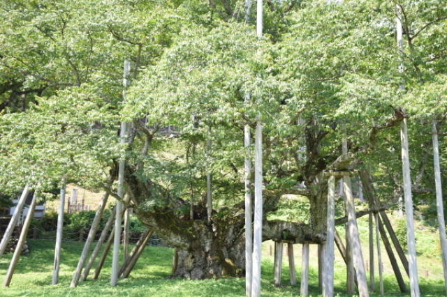 b0312230_23011444.jpg