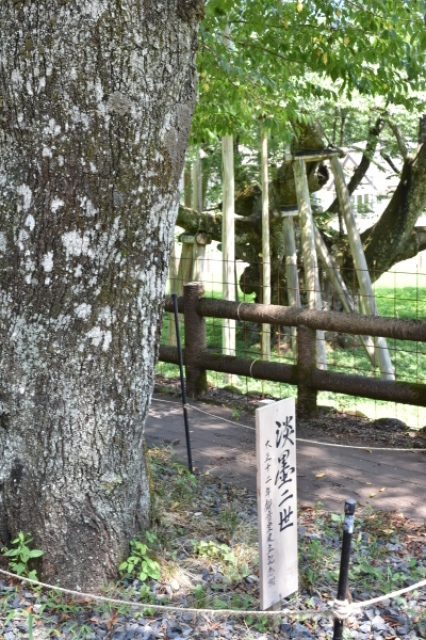 b0312230_23015782.jpg