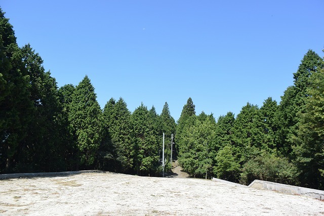 b0341133_15031223.jpg