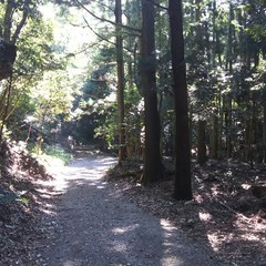 c0077338_18401937.jpg