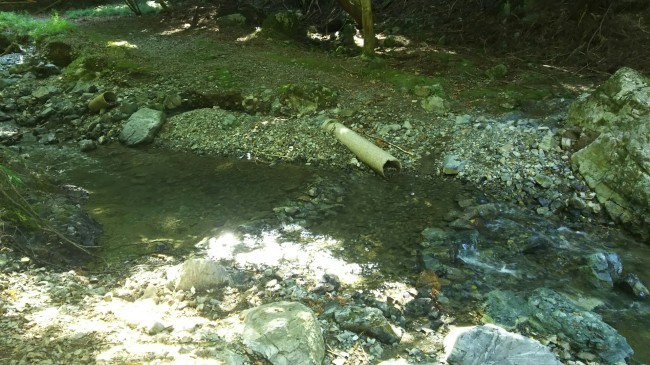 c0077338_18405233.jpg