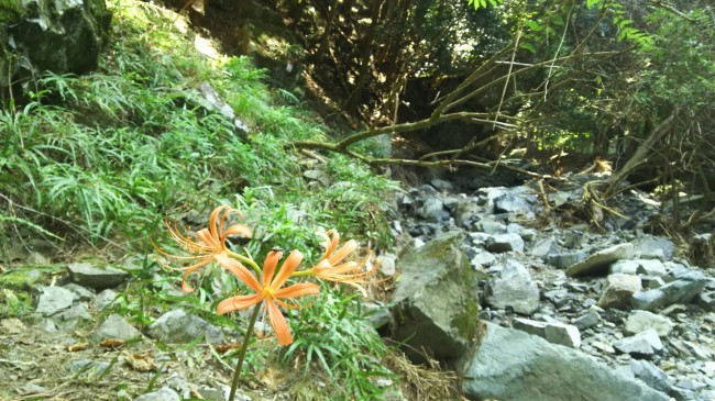 c0077338_18410342.jpg