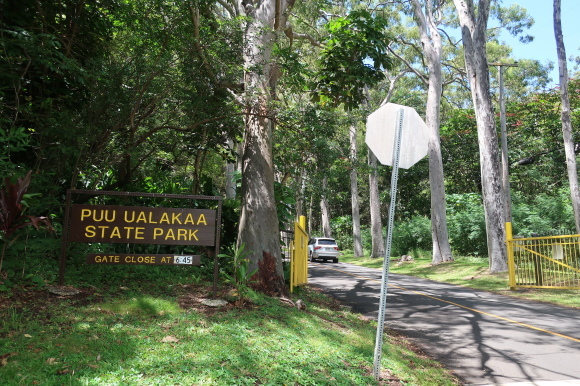 b0272040_11155194.jpg