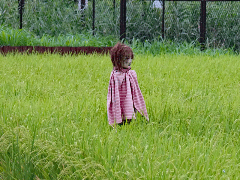 d0290240_10503408.gif