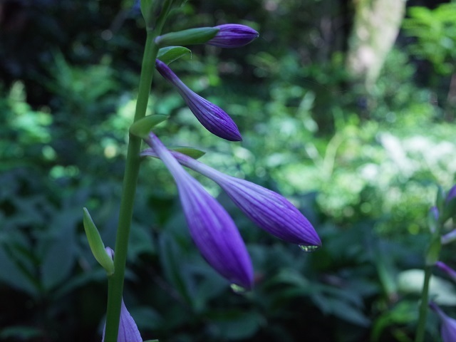 a0087341_09142279.jpg