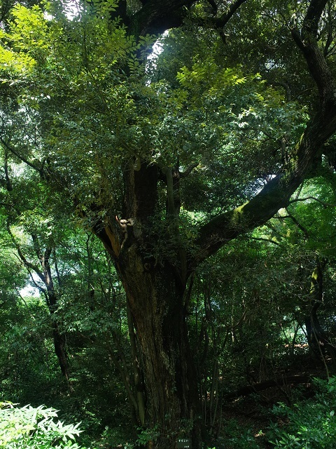 a0087341_09142547.jpg