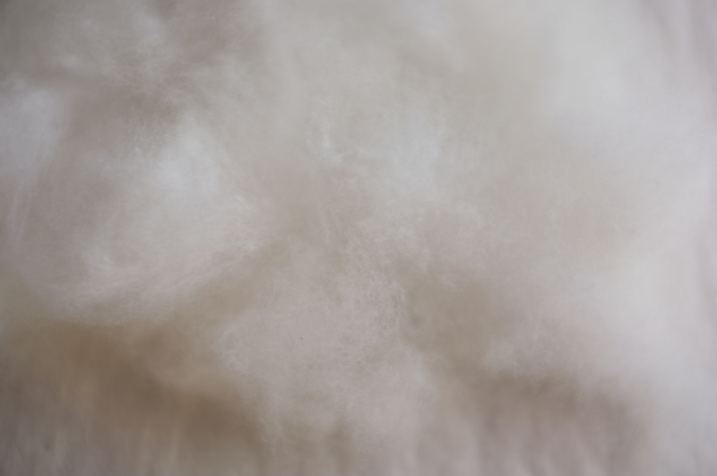 c0243045_17135737.jpg