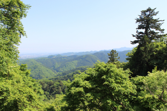 a0307547_10295539.jpg