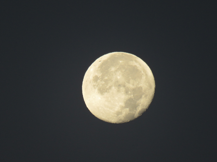 f0214649_03535076.jpg