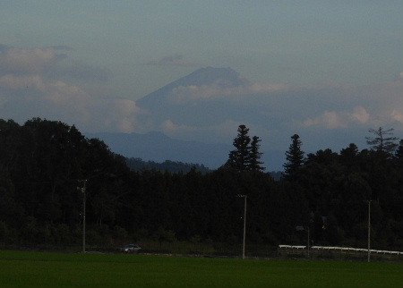 e0172950_7464331.jpg