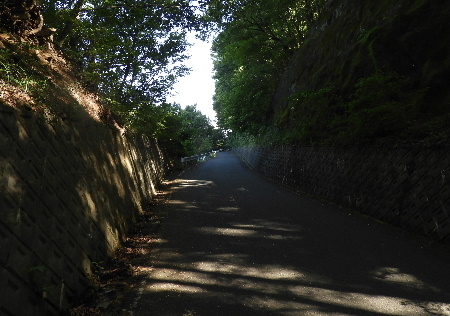 e0172950_7582790.jpg