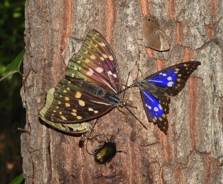 e0172950_8253498.jpg